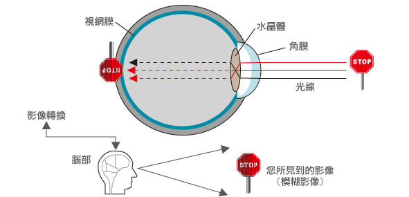 眼睛產生影像的方式